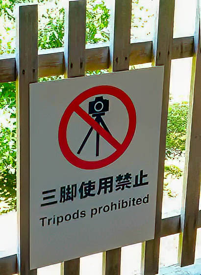 no tripods allowed
